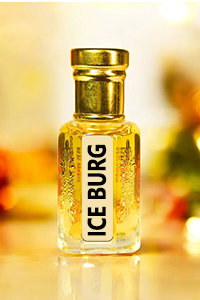 ICE BURG